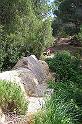 Carthage - Ain Jouggar 100_6278